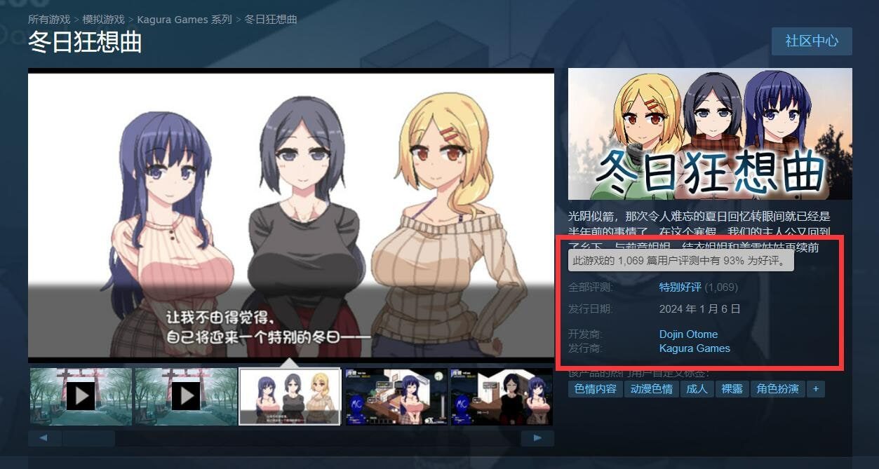 冬日狂想曲 存档管理 实机截图 5